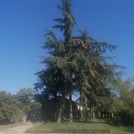 Prázdninový dům In