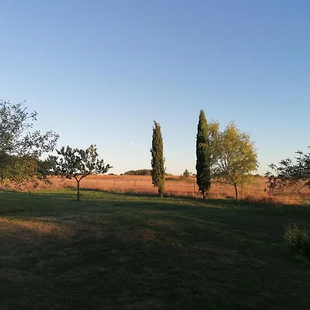 In *